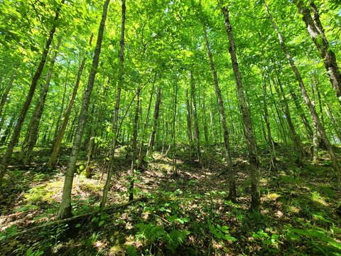 LAND - Hurley, WI