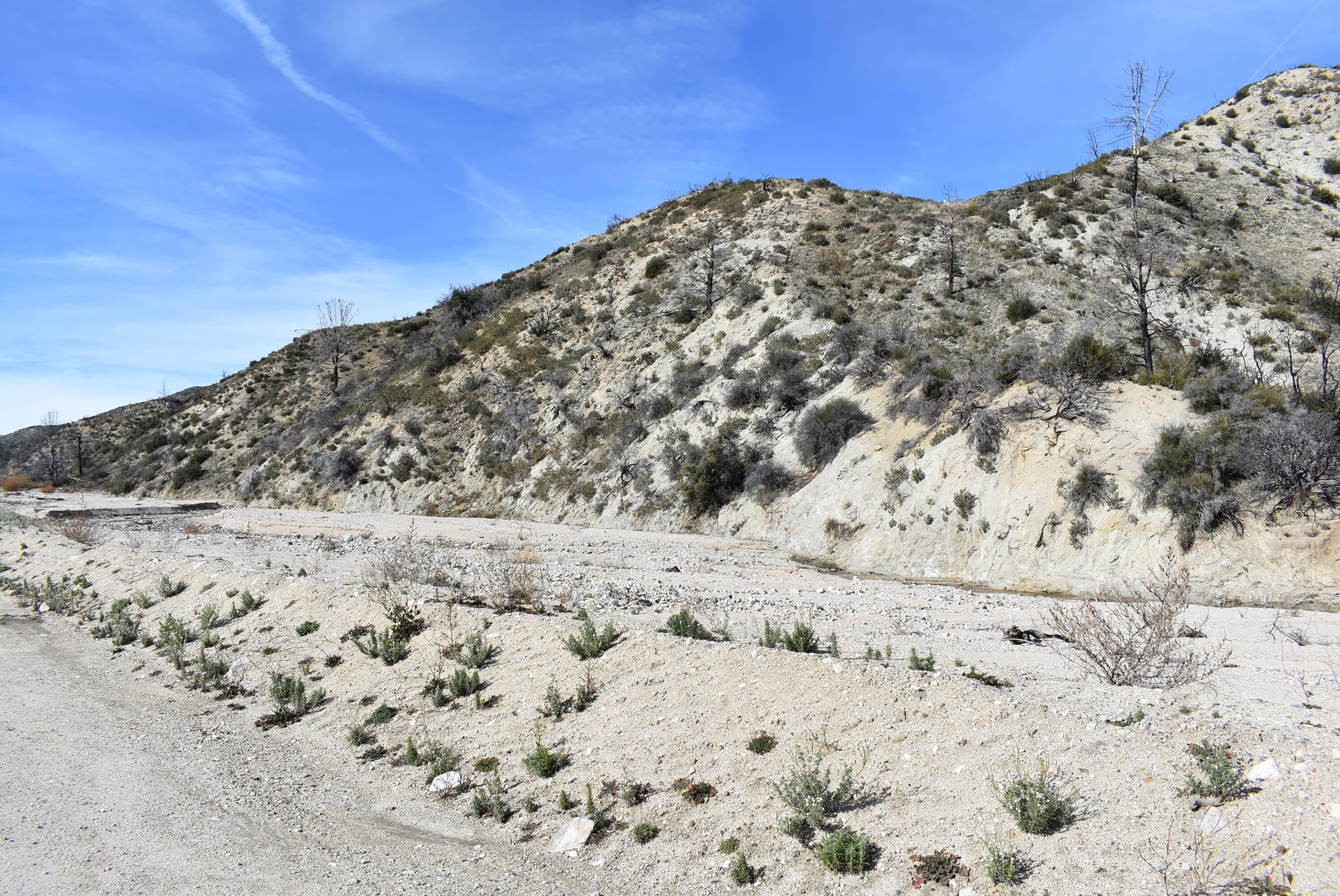 Lake Hughes Acreage on Pine