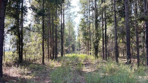 Land, Milton, FL