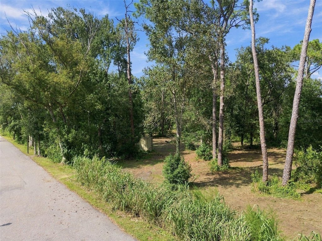 Picture 23