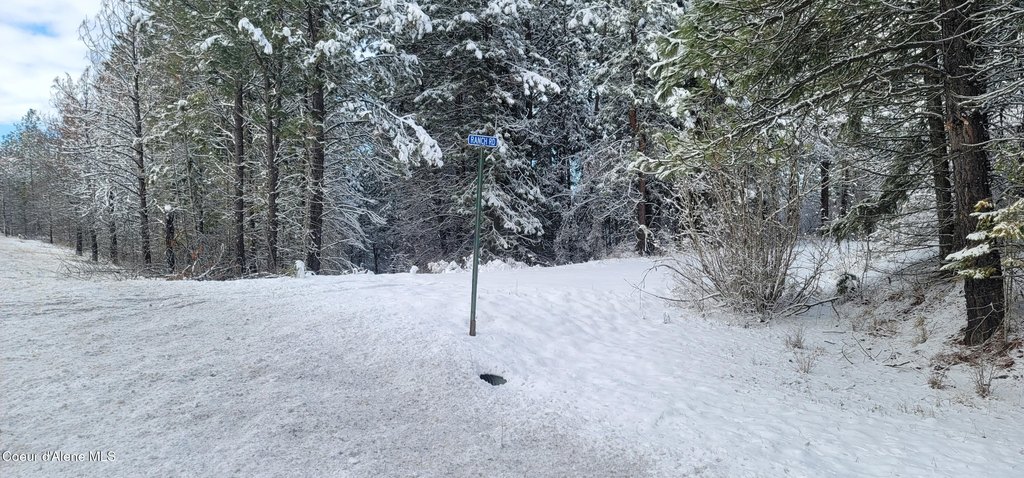 Picture 13