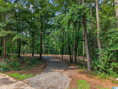 LAND - PELL CITY, AL