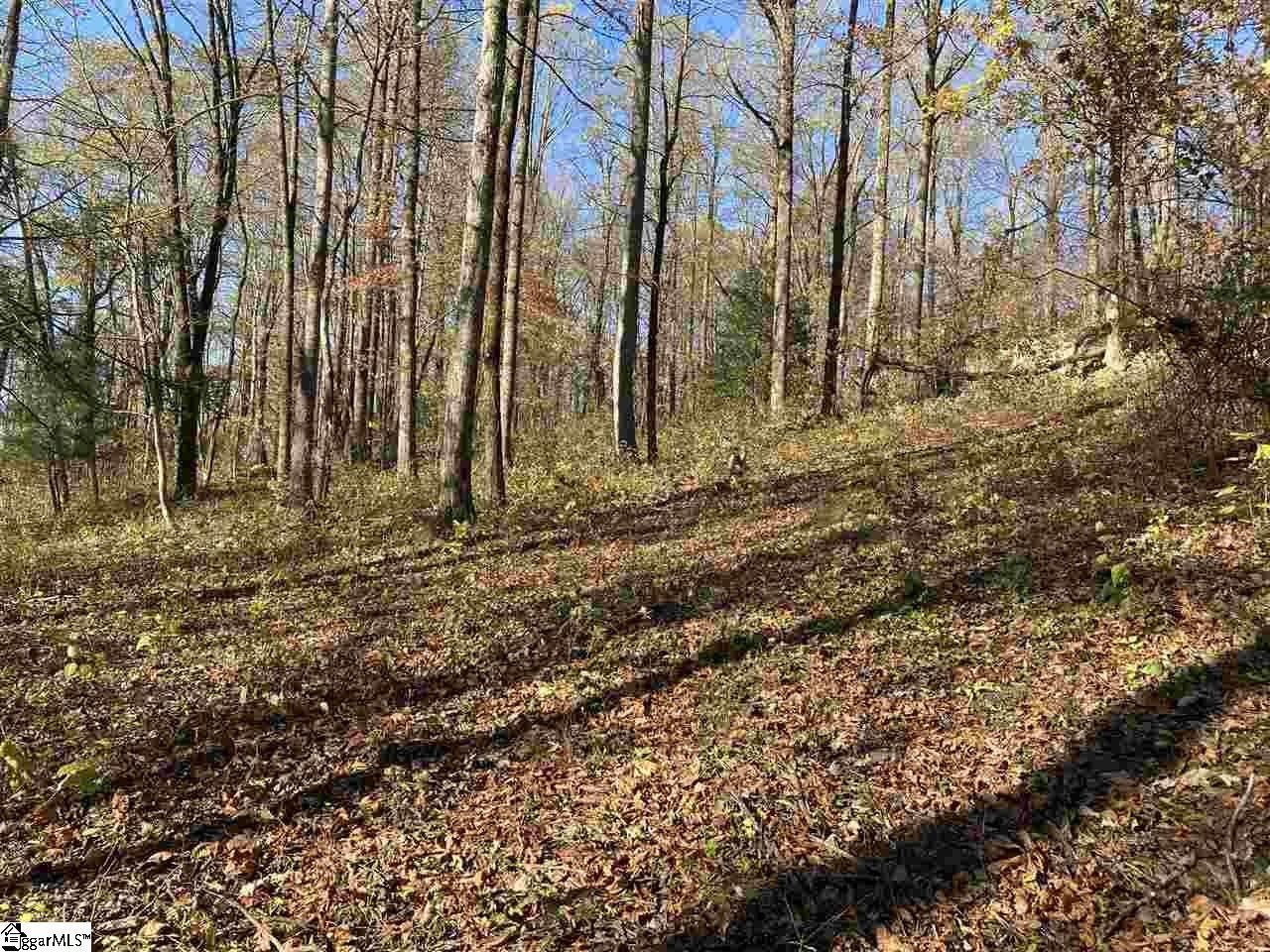 Landrum, SC Land For Sale