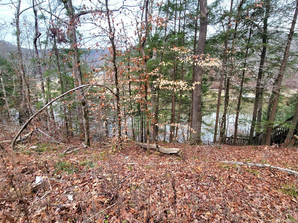 Picture 4