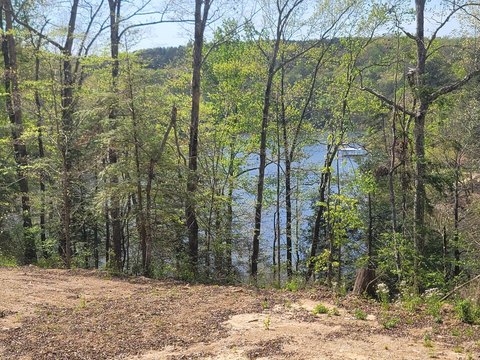 Unrestricted Smith Lake Waterfront Lot