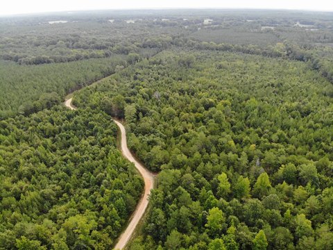 Land, Saluda, SC