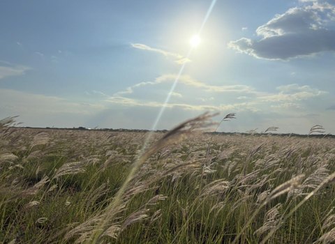 Land, Lubbock, TX