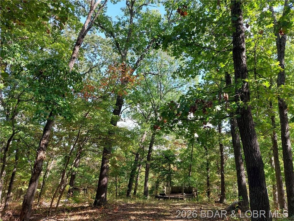 10 Acres of Hunting Land