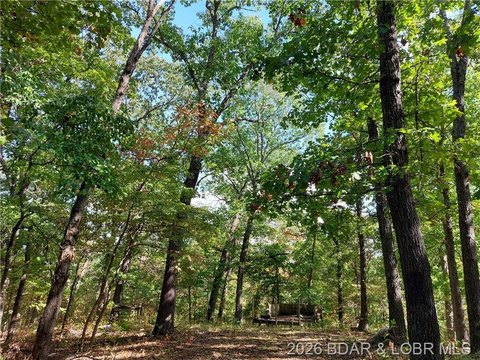 10 Acres of Wooded Land