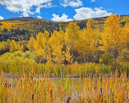 Land Near Powderhorn Mountain Resort