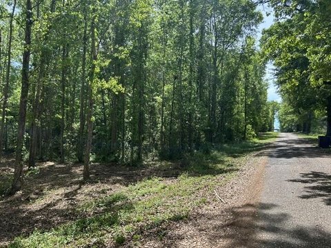 Summit, MS Undeveloped Land