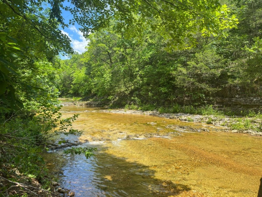Picture 30