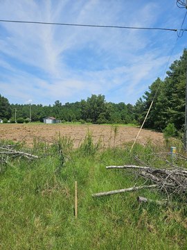 Land, Saint Stephen, SC
