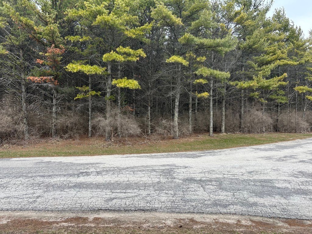 Picture 9
