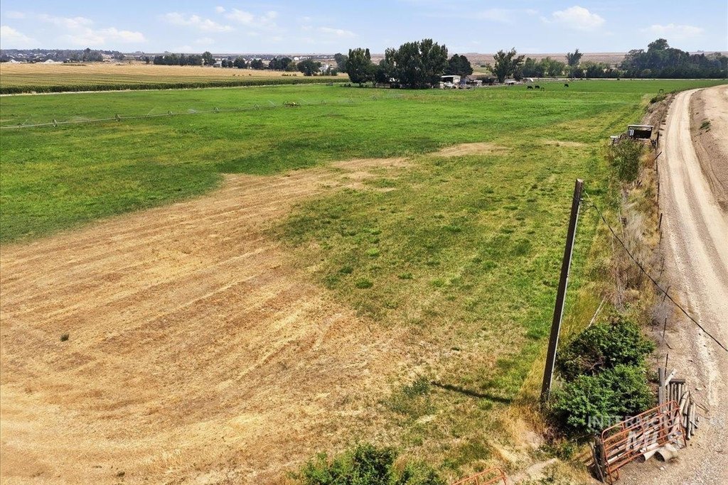 Picture 11