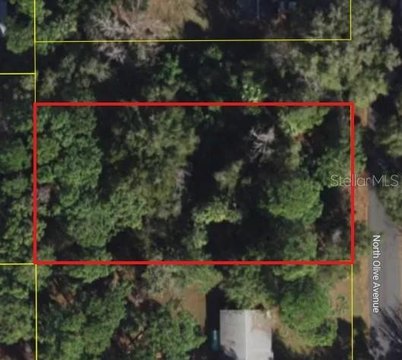 Land, CRYSTAL RIVER, FL