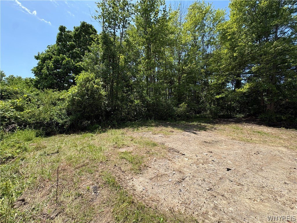 Picture 8