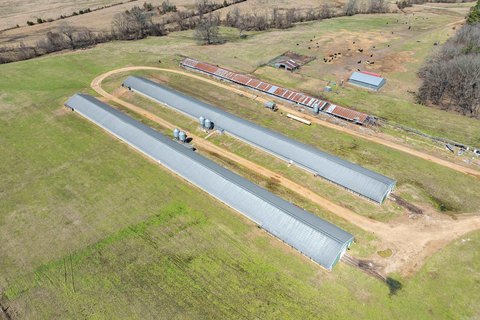 Lockesburg Poultry Farm For Sale
