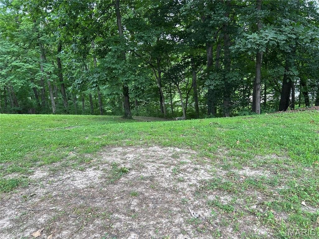 Picture 3