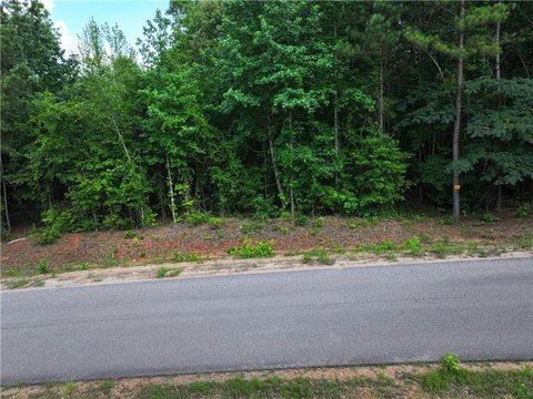 Salem, AL Wooded Lot