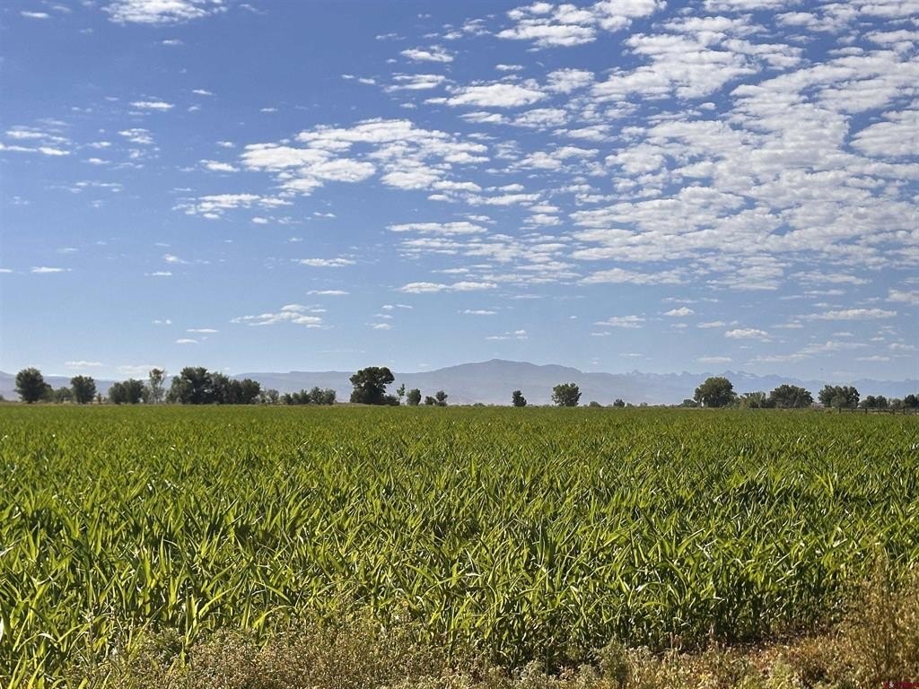 Delta, CO Land For Sale