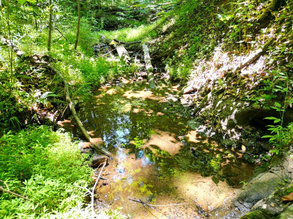 Picture 17