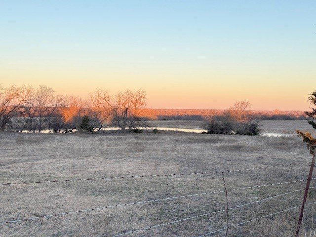 Picture 13