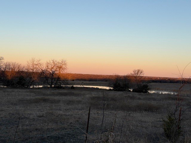 Picture 11