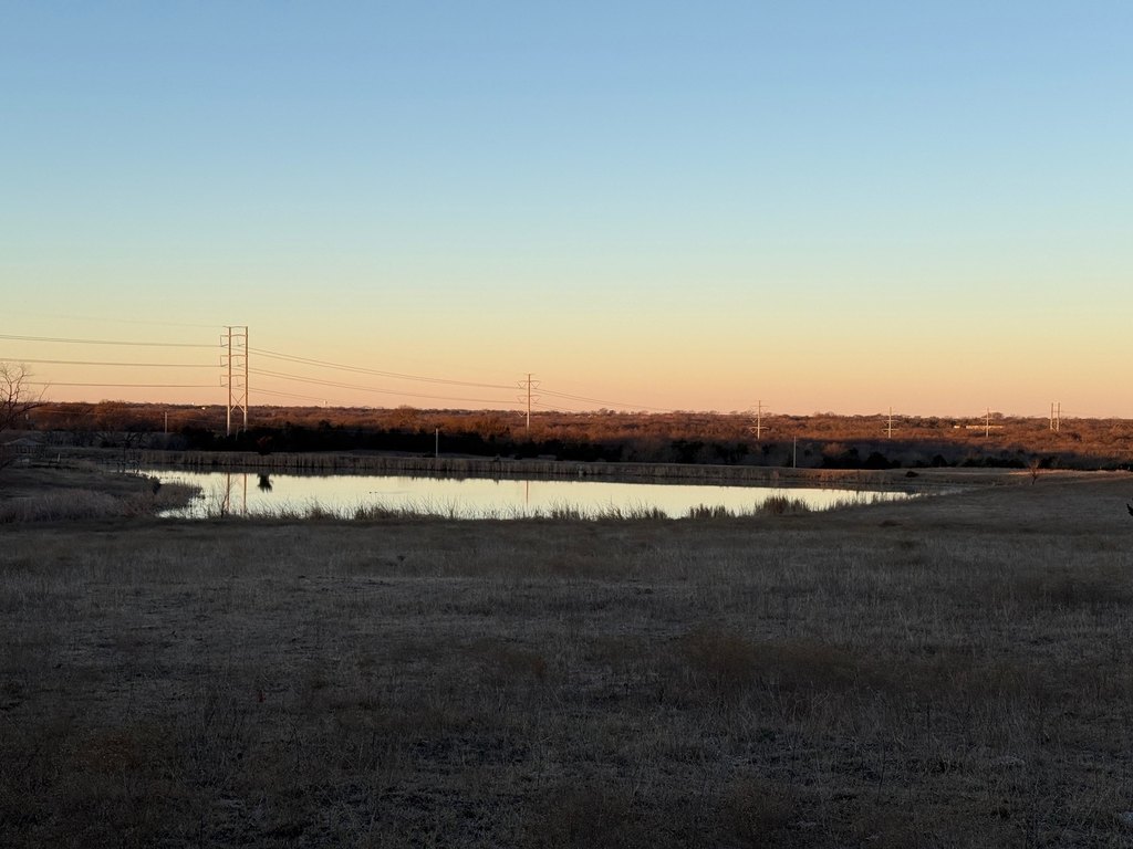 Picture 19