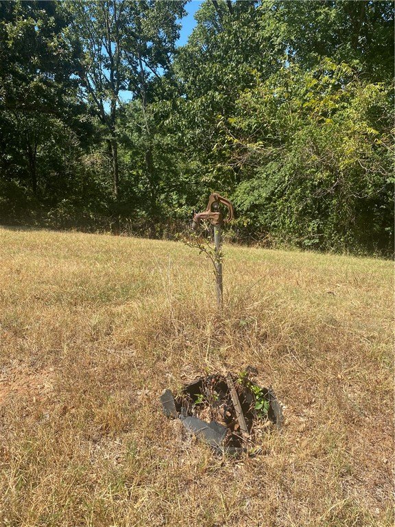 Picture 10