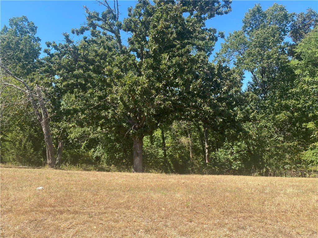 Picture 4