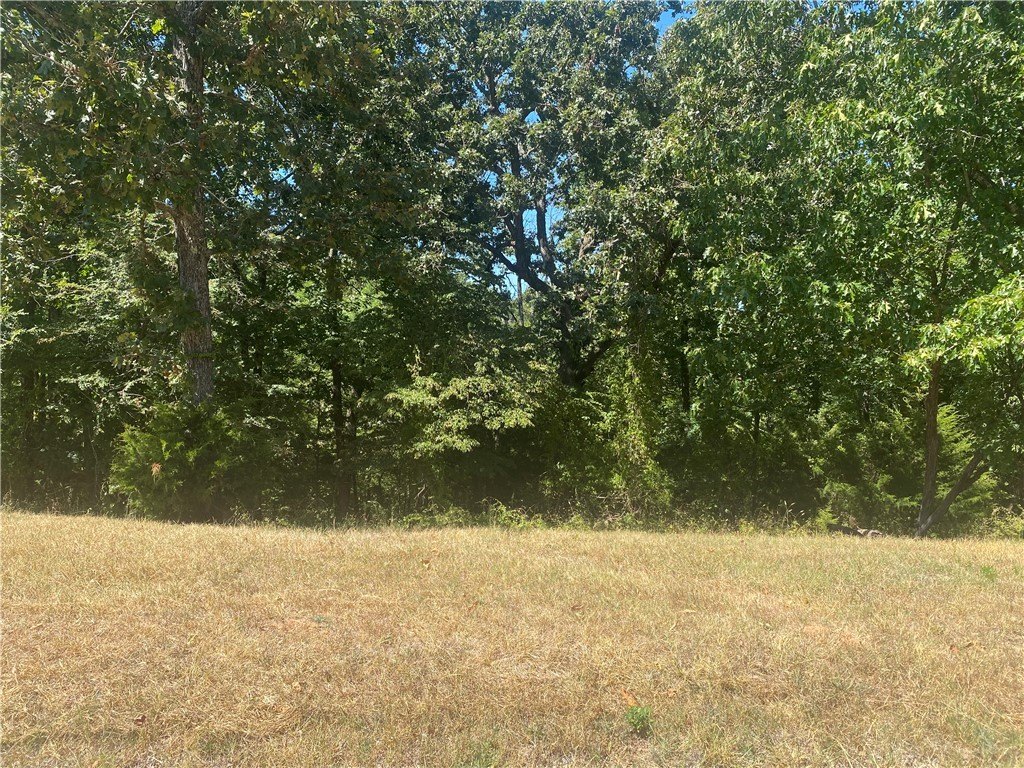 Picture 8