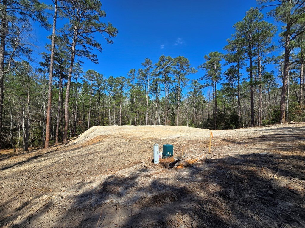 Picture 5