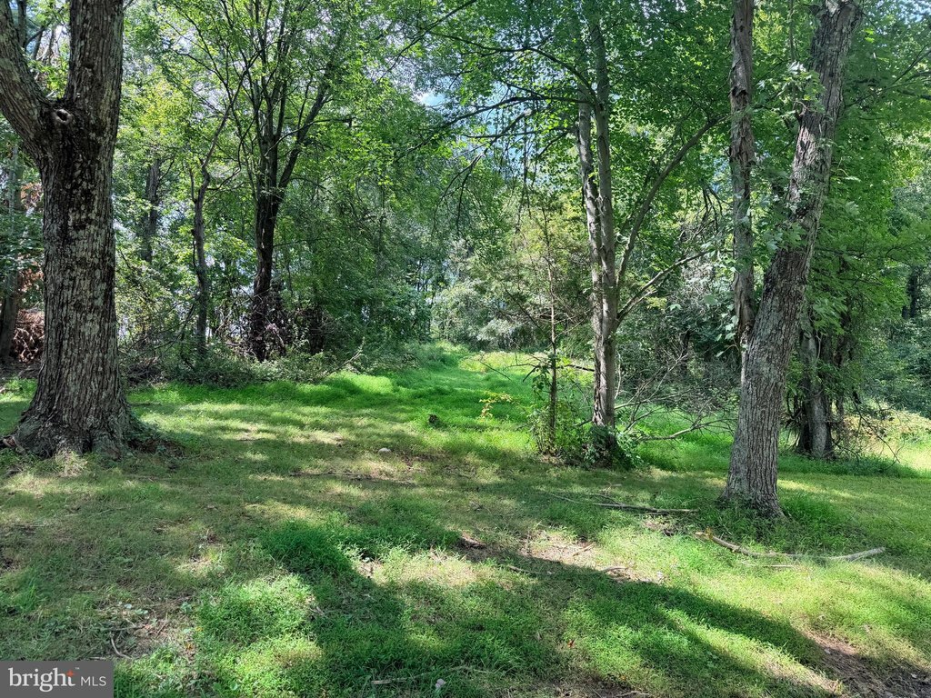 Picture 36