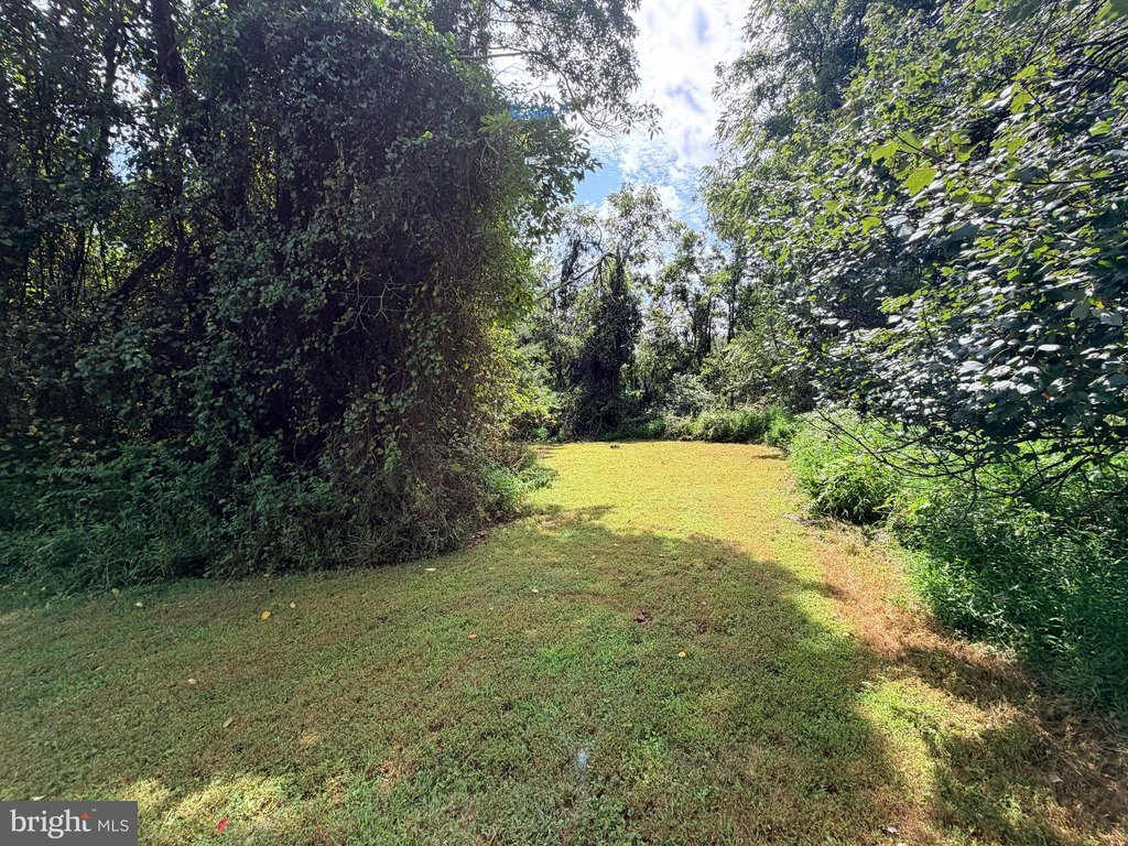 Picture 48