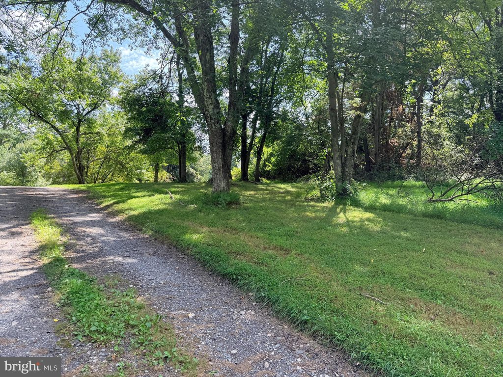 Picture 20