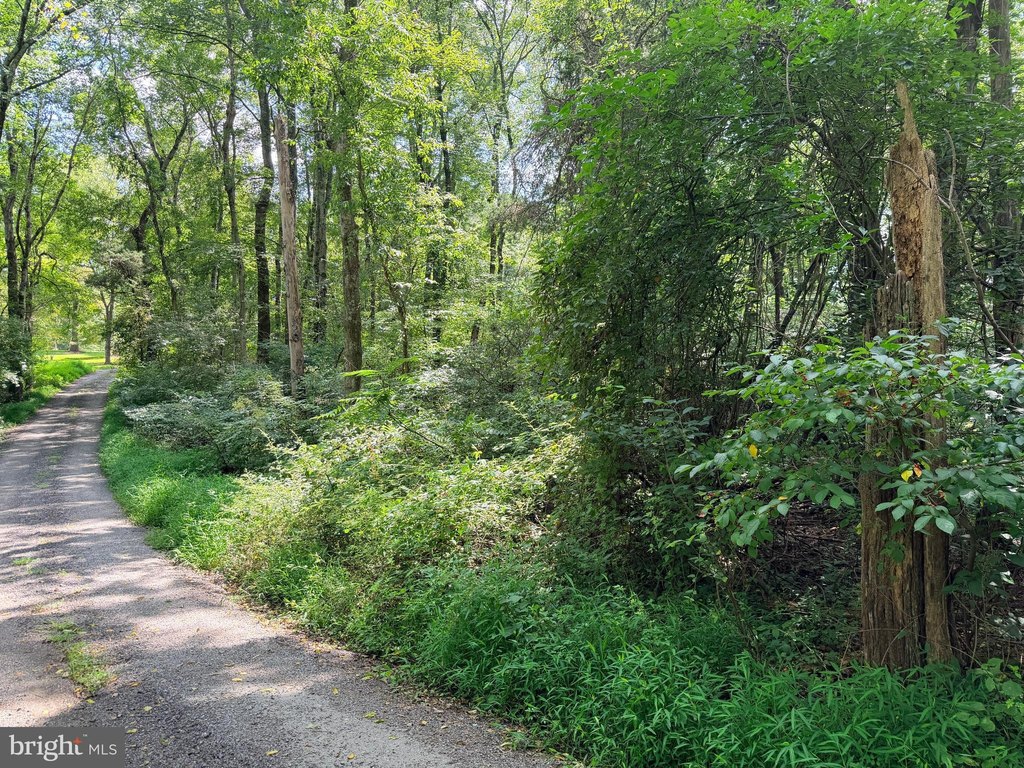 Picture 29