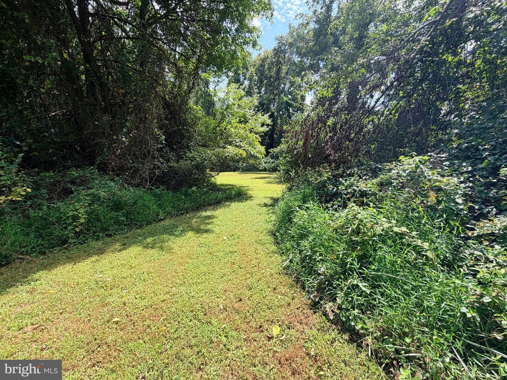 Picture 45