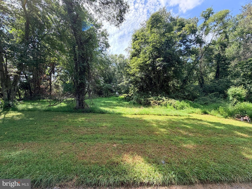 Picture 22