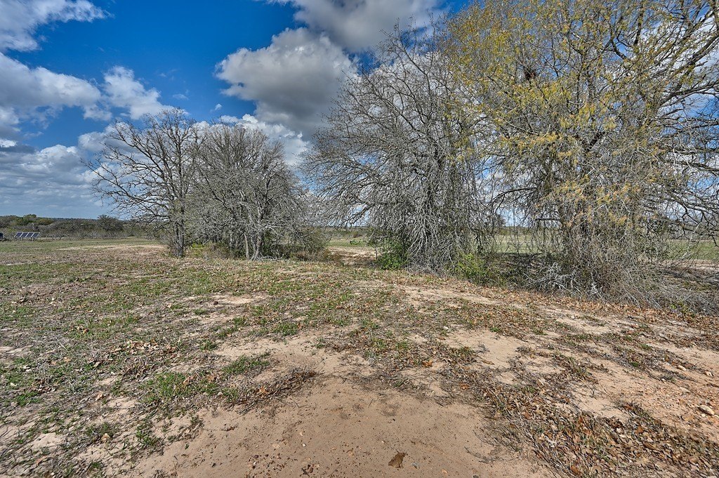 Picture 15