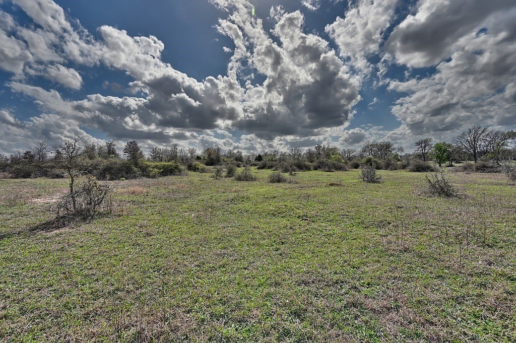 Picture 22