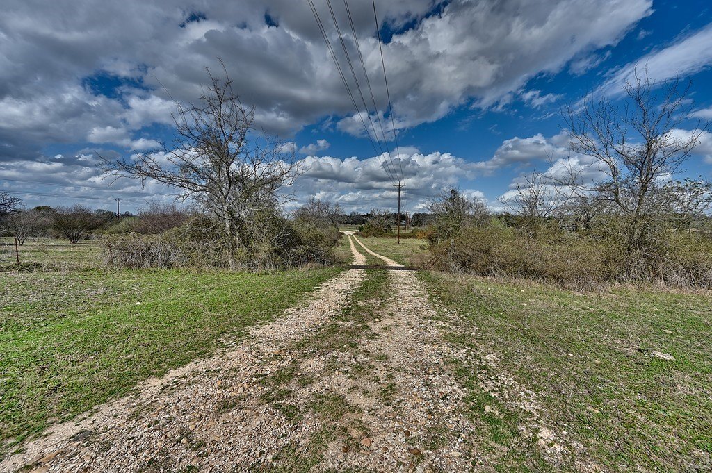 Picture 7
