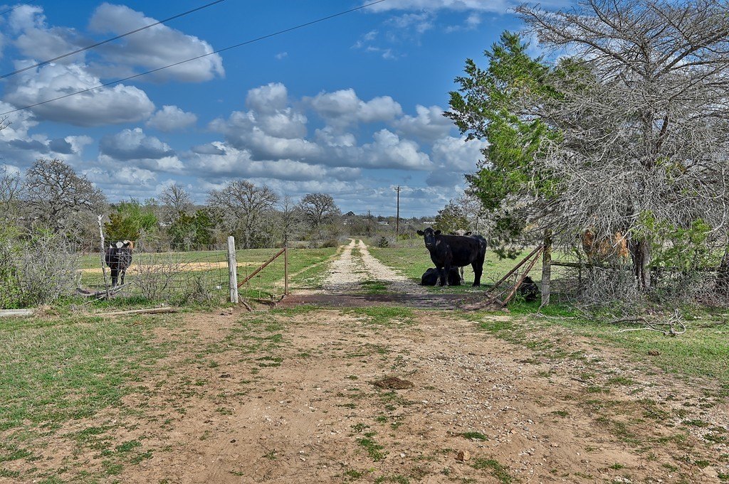 Picture 19