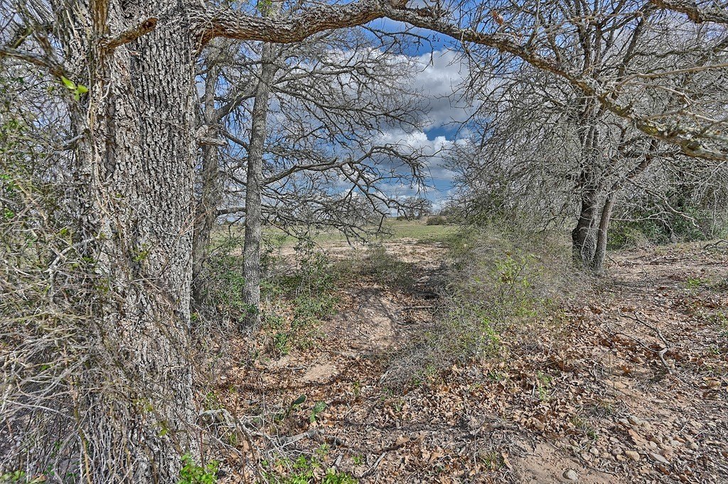 Picture 16