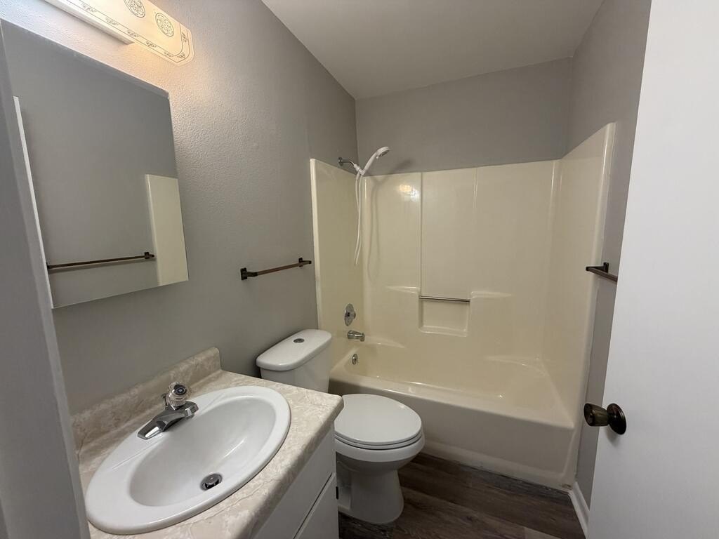 Picture 14