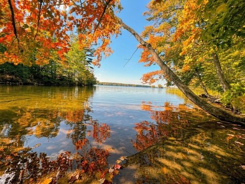Land, Birchwood, WI