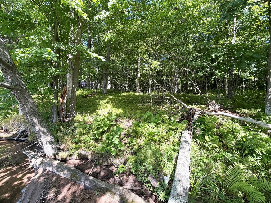 Picture 15