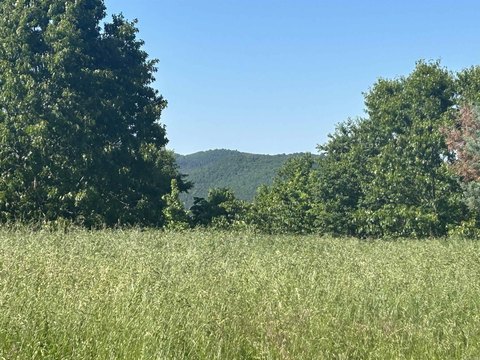Mountain View Land with Views