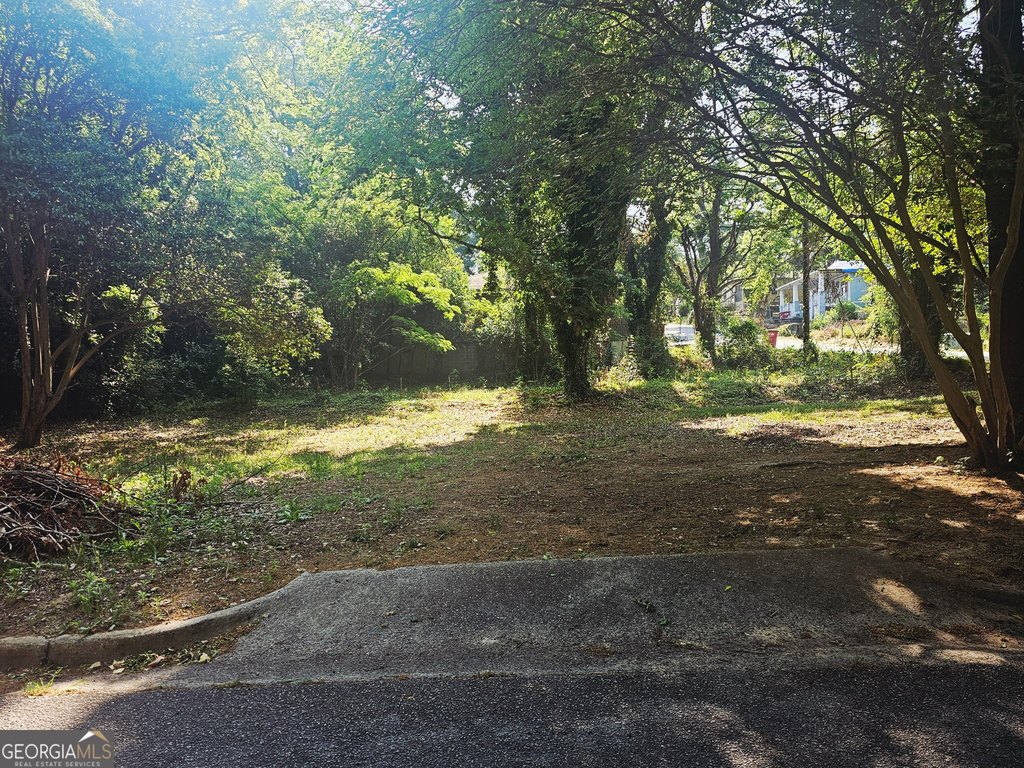 Picture 6