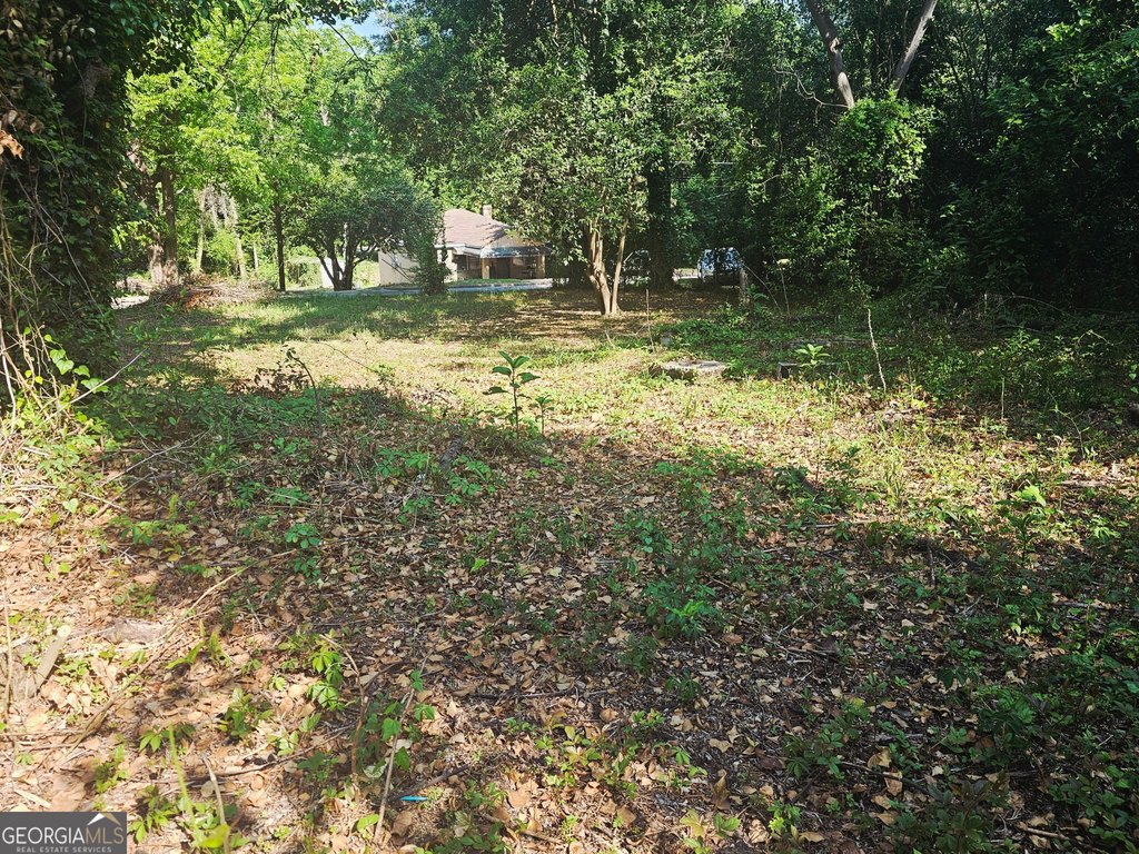 Picture 10